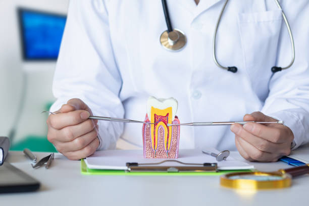 Best After-Hours Dental Care in Coalgate, OK